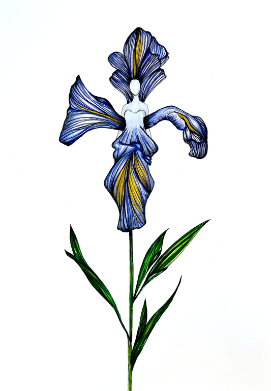 Iris