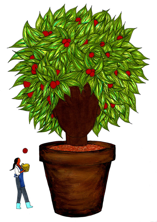 Growing on me - Stage 6 of 6